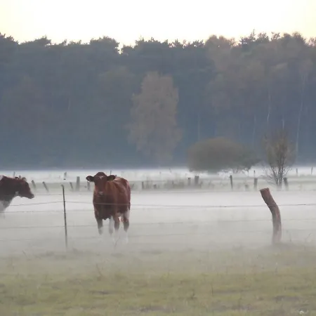 Ferienwohnung Dingdener Heide Hamminkeln