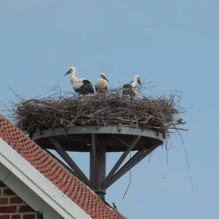 Appartement Ferienwohnung Dingdener Heide Hamminkeln